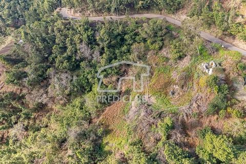 Terra a Ribeira Brava, Madeira, Ribeira Brava - € 285.000 | Ref: 11415-JR - foto 3