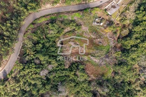 Terra a Ribeira Brava, Madeira, Ribeira Brava - € 285.000 | Ref: 11415-JR - foto 4
