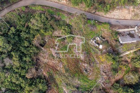 Terra a Ribeira Brava, Madeira, Ribeira Brava - € 285.000 | Ref: 11415-JR - foto 5