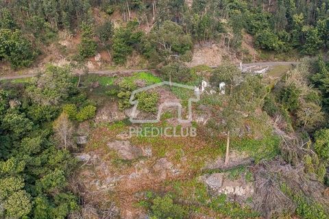 Terra a Ribeira Brava, Madeira, Ribeira Brava - € 285.000 | Ref: 11415-JR - foto 6