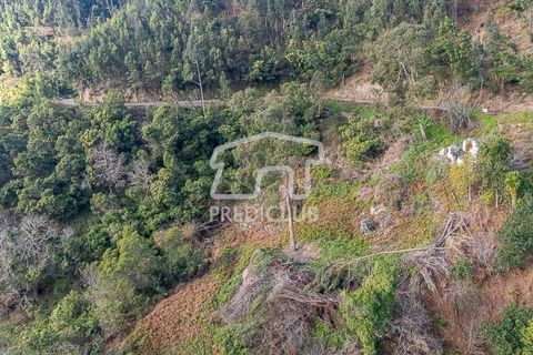Terra a Ribeira Brava, Madeira, Ribeira Brava - € 285.000 | Ref: 11415-JR - foto 7