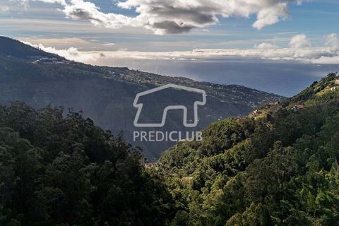 Terra a Ribeira Brava, Madeira, Ribeira Brava - € 285.000 | Ref: 11415-JR - foto 9