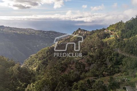 Terra a Ribeira Brava, Madeira, Ribeira Brava - € 285.000 | Ref: 11415-JR - foto 10
