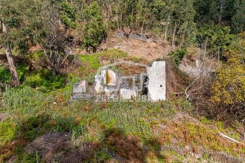 Terra a Ribeira Brava, Madeira, Ribeira Brava - € 285.000 | Ref: 11415-JR - foto 11