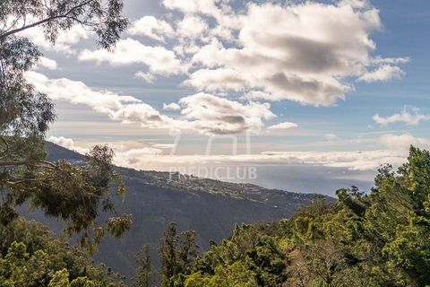Terra a Ribeira Brava, Madeira, Ribeira Brava - € 285.000 | Ref: 11415-JR - foto 12