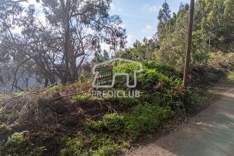 Terra a Ribeira Brava, Madeira, Ribeira Brava - € 285.000 | Ref: 11415-JR - foto 13