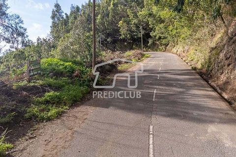 Terra a Ribeira Brava, Madeira, Ribeira Brava - € 285.000 | Ref: 11415-JR - foto 14