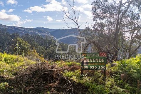 Terra a Ribeira Brava, Madeira, Ribeira Brava - € 285.000 | Ref: 11415-JR - foto 15