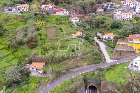 Villa i Ribeira Brava, Madeira, Ribeira Brava - € 335.000 | Ref: 11509-MA - foto 2