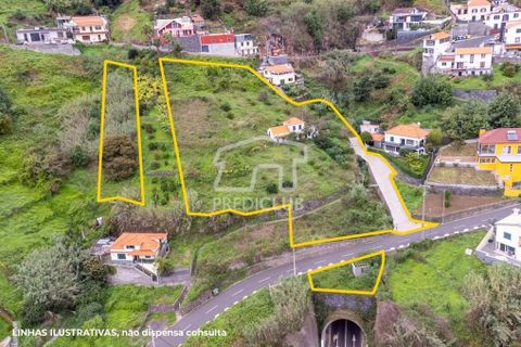 Villa i Ribeira Brava, Madeira, Ribeira Brava - € 335.000 | Ref: 11509-MA - foto 3