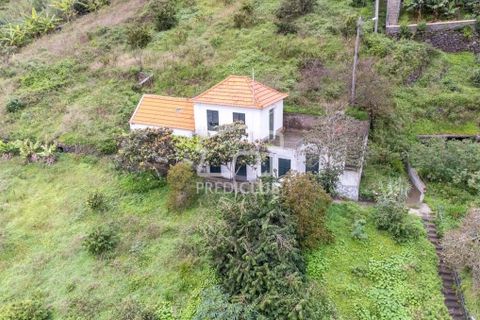 Villa i Ribeira Brava, Madeira, Ribeira Brava - € 335.000 | Ref: 11509-MA - foto 4