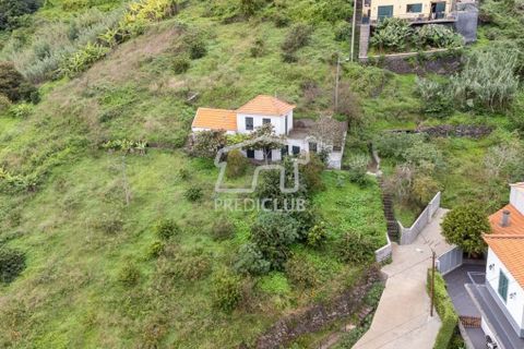 Villa i Ribeira Brava, Madeira, Ribeira Brava - € 335.000 | Ref: 11509-MA - foto 6