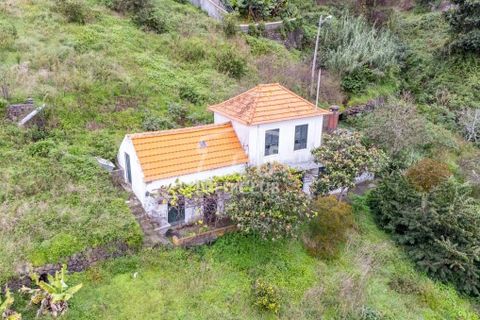 Villa i Ribeira Brava, Madeira, Ribeira Brava - € 335.000 | Ref: 11509-MA - foto 8