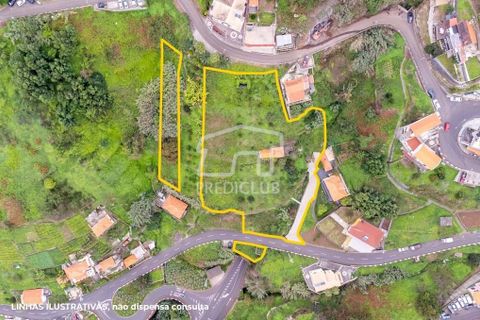 Villa i Ribeira Brava, Madeira, Ribeira Brava - € 335.000 | Ref: 11509-MA - foto 9