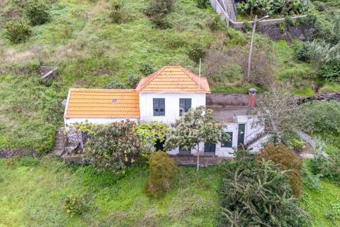 Villa i Ribeira Brava, Madeira, Ribeira Brava - € 335.000 | Ref: 11509-MA - foto 10