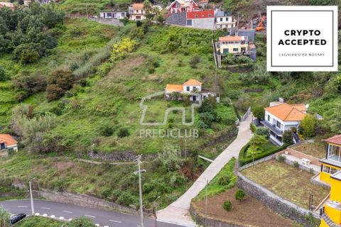 Villa i Ribeira Brava, Madeira, Ribeira Brava - € 335.000 | Ref: 11509-MA - foto 1