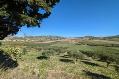 Terra a Valderice, Trapani, Valderice - € 67.000 | Ref: Plot Donna Agosta - foto 3