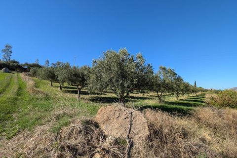 Terra a Valderice, Trapani, Valderice - € 67.000 | Ref: Plot Donna Agosta - foto 5