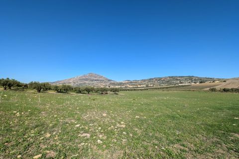 Terra a Valderice, Trapani, Valderice - € 67.000 | Ref: Plot Donna Agosta - foto 6