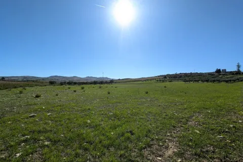 Terra a Valderice, Trapani, Valderice - € 67.000 | Ref: Plot Donna Agosta - foto 13