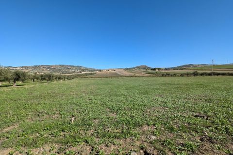 Terra a Valderice, Trapani, Valderice - € 67.000 | Ref: Plot Donna Agosta - foto 14