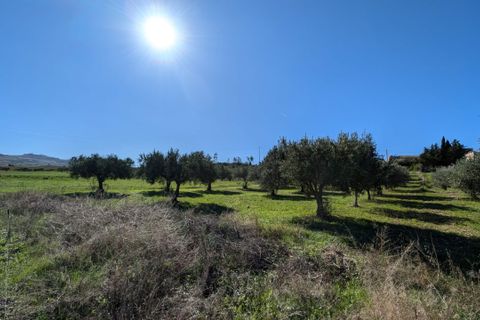 Terra a Valderice, Trapani, Valderice - € 67.000 | Ref: Plot Donna Agosta - foto 7