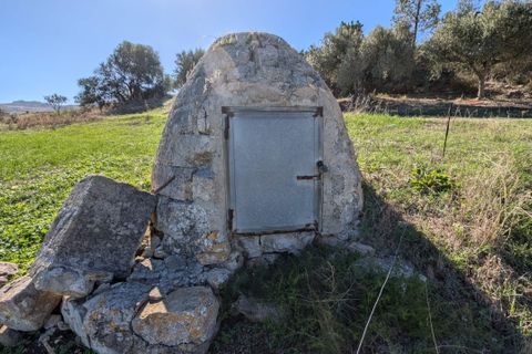 Terra a Valderice, Trapani, Valderice - € 67.000 | Ref: Plot Donna Agosta - foto 16