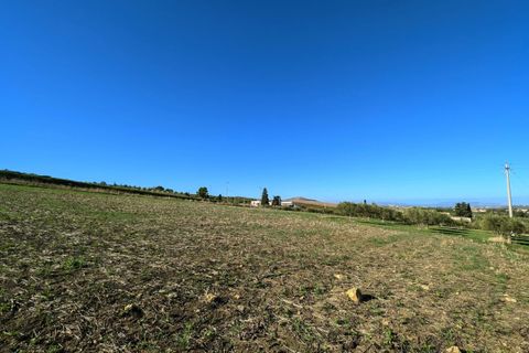 Terra a Valderice, Trapani, Valderice - € 99.500 | Ref: Plot Bella Vista - foto 8