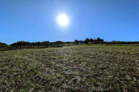 Terra a Valderice, Trapani, Valderice - € 99.500 | Ref: Plot Bella Vista - foto 9