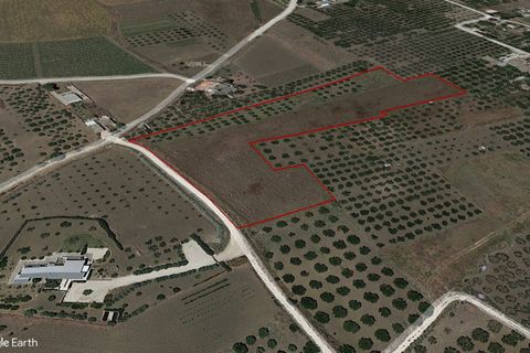 Terra a Valderice, Trapani, Valderice - € 99.500 | Ref: Plot Bella Vista - foto 19