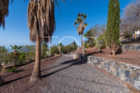 Landejendom i Adeje, Tenerife, Adeje - € 1.900.000 | Ref: TOP-GK-136 - foto 7