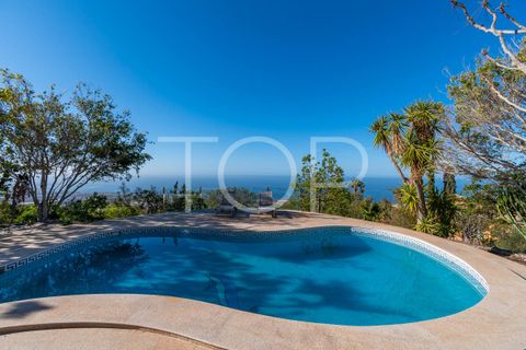 Landejendom i Adeje, Tenerife, Adeje - € 1.900.000 | Ref: TOP-GK-136 - foto 27