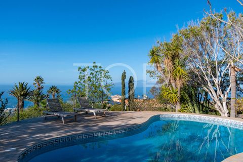 Landejendom i Adeje, Tenerife, Adeje - € 1.900.000 | Ref: TOP-GK-136 - foto 4