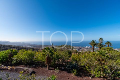 Landejendom i Adeje, Tenerife, Adeje - € 1.900.000 | Ref: TOP-GK-136 - foto 2