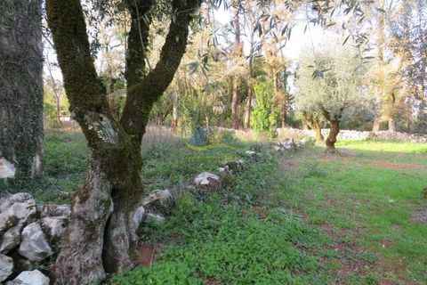 Villa i Ansiao, Leiria, Ansiao - € 110.000 | Ref: ko2607 - foto 4