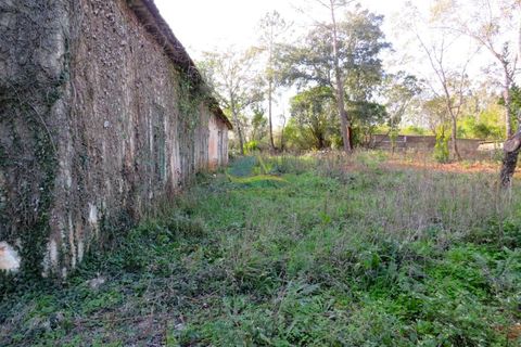 Villa i Ansiao, Leiria, Ansiao - € 110.000 | Ref: ko2607 - foto 5