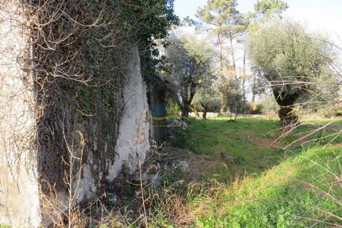 Villa i Ansiao, Leiria, Ansiao - € 110.000 | Ref: ko2607 - foto 24