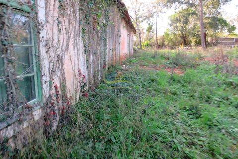 Villa i Ansiao, Leiria, Ansiao - € 110.000 | Ref: ko2607 - foto 26