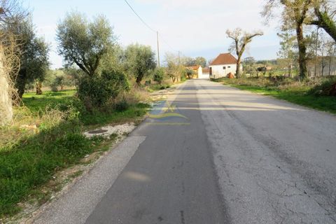 Villa i Ansiao, Leiria, Ansiao - € 110.000 | Ref: ko2607 - foto 27
