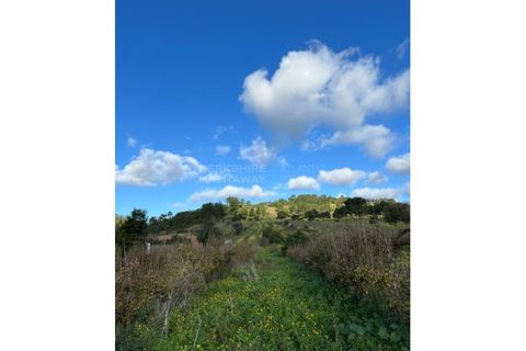 Villa i Bombarral, Leiria, Bombarral - € 550.000 | Ref: SS_0001 - foto 10
