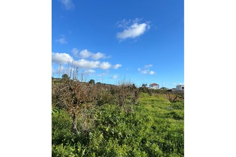 Villa i Bombarral, Leiria, Bombarral - € 550.000 | Ref: SS_0001 - foto 11