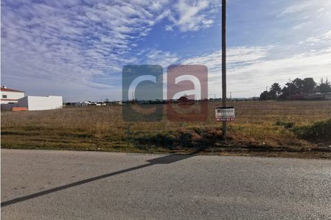 Helårsgrund i Alpiarca, Santarem, Alpiarca - € 40.000 | Ref: TERR4341 - foto 2