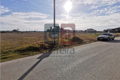 Helårsgrund i Alpiarca, Santarem, Alpiarca - € 40.000 | Ref: TERR4341 - foto 3