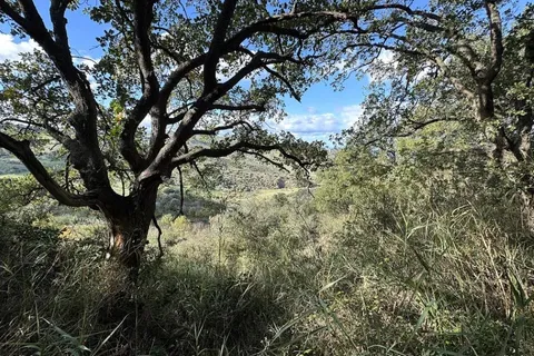 Terra a Collesano, Palermo, Collesano - € 100.000 | Ref: Plot Cinzia - Collesano - foto 5