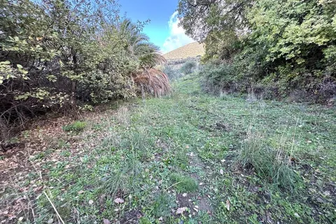 Terra a Collesano, Palermo, Collesano - € 100.000 | Ref: Plot Cinzia - Collesano - foto 7