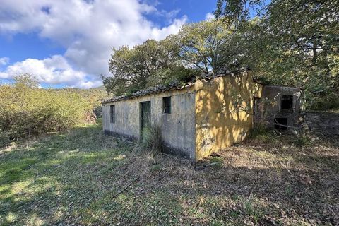 Terra a Collesano, Palermo, Collesano - € 100.000 | Ref: Plot Cinzia - Collesano - foto 9