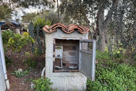 Terra a Collesano, Palermo, Collesano - € 100.000 | Ref: Plot Cinzia - Collesano - foto 10