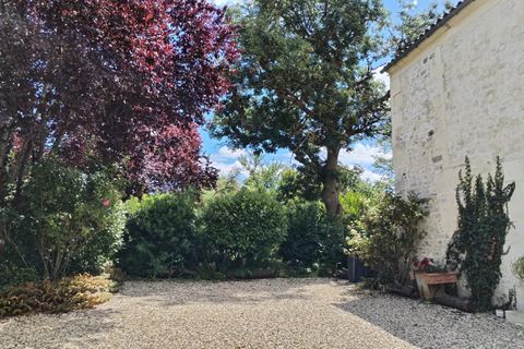 Villa a Sainte-Severe, Charente, Sainte-Severe - € 381.600 | Ref: BVI73726 - foto 15
