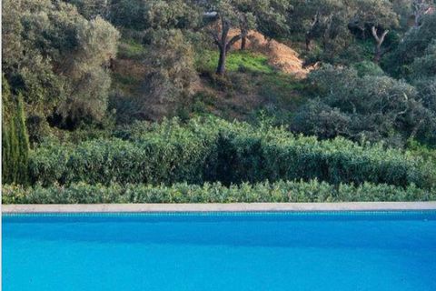 Byhus i Sotogrande, Cadiz, Sotogrande - € 2.500.000 | Ref: SPCRM2399 - foto 4