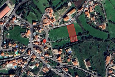 Helårsgrund i Sintra, Lisbon, Sintra - € 165.000 | Ref: 120250011 - foto 13